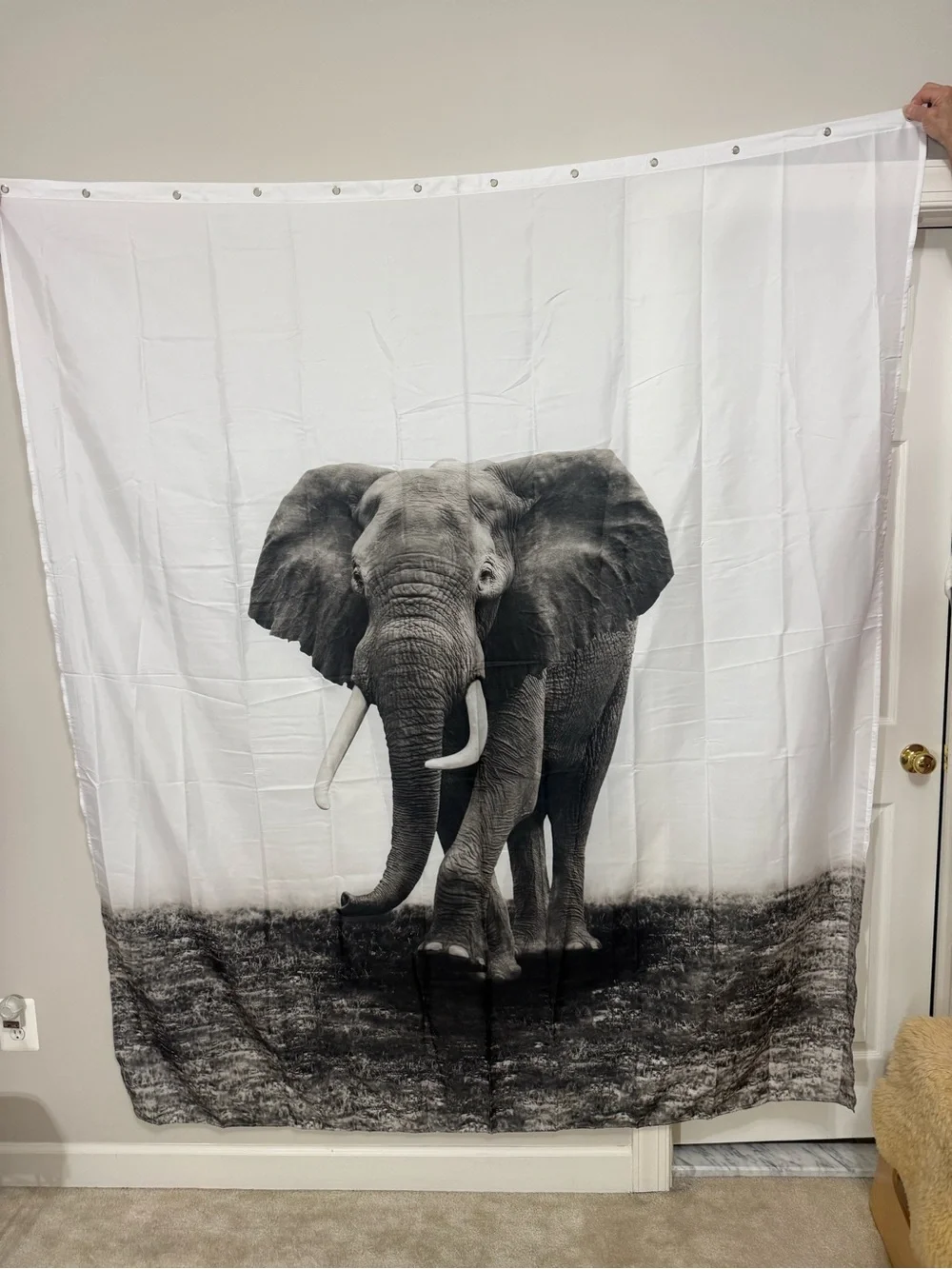 Elephants Shower Curtain, African Wild Animal Elephants Close-Up Black Gray Poly